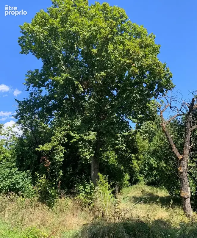 Gros potentiel ! Maison 200m2 à rénover, sur terrain arboré de 1237m2 - photo 12