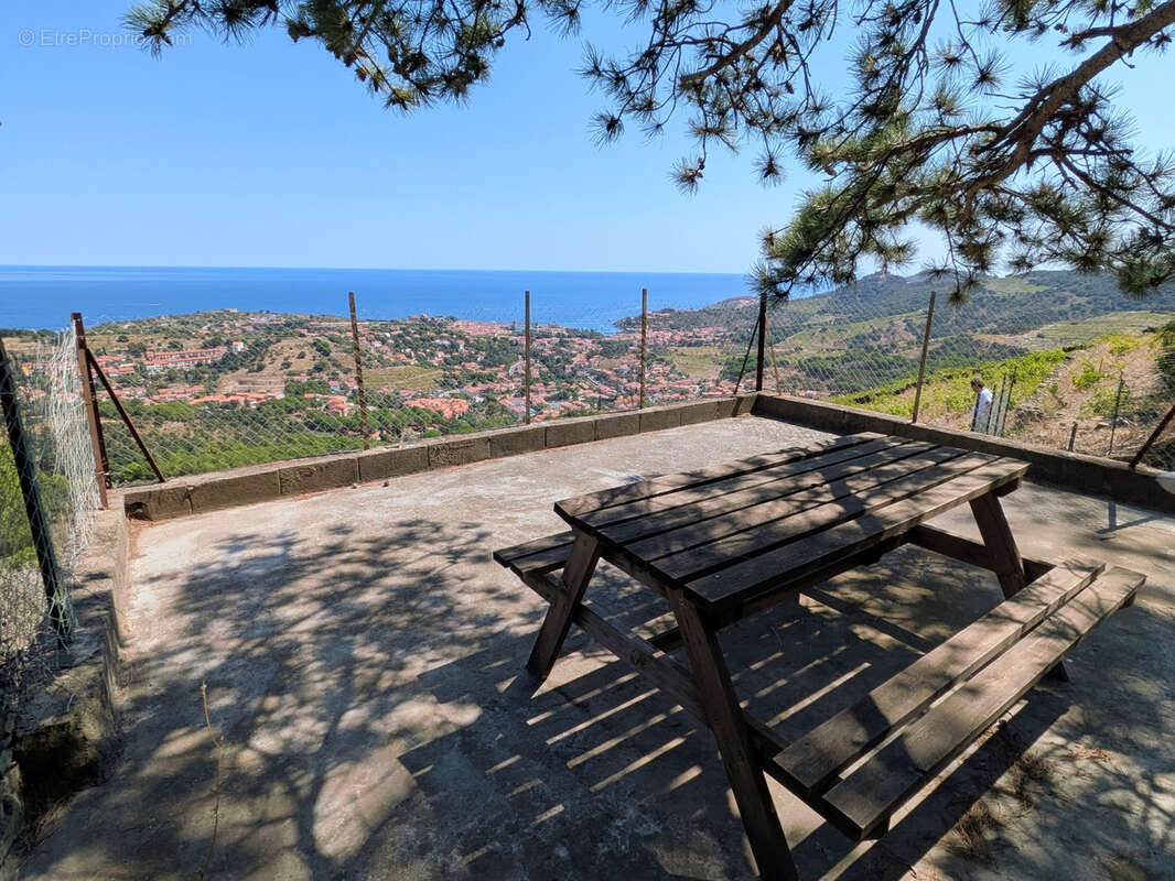 Vigne avec casot a vendre a collioure - photo 12