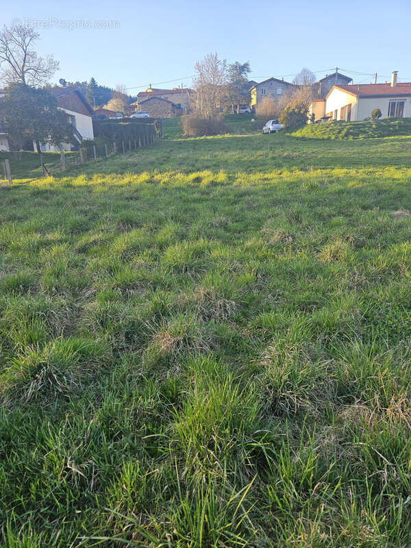 Terrain à BEAUZAC