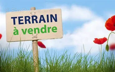 Terrain à SAINT-MAMMES
