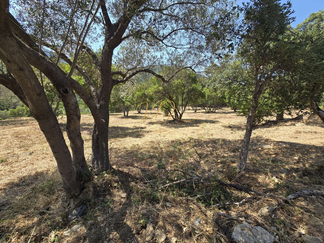 Terrain en vente à Cavalaire-Sur-Mer - photo 3