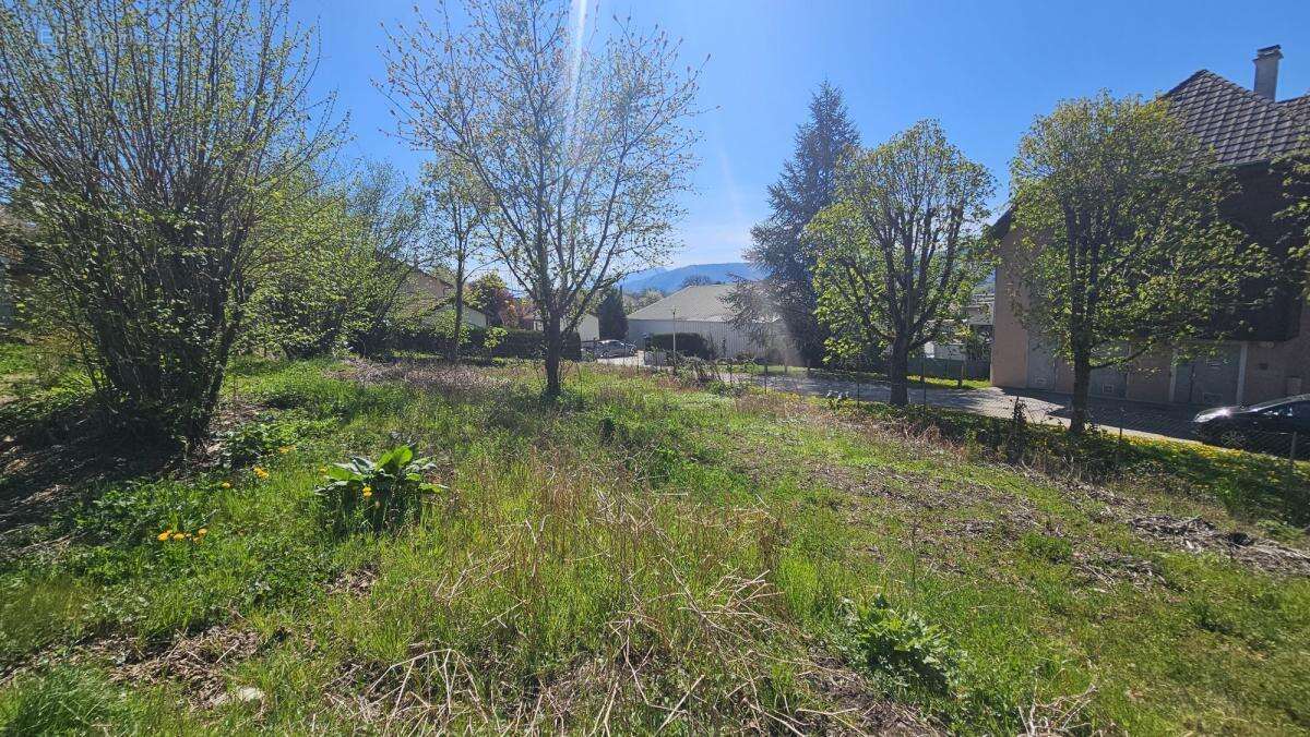 Terrain à SAINT-FELIX