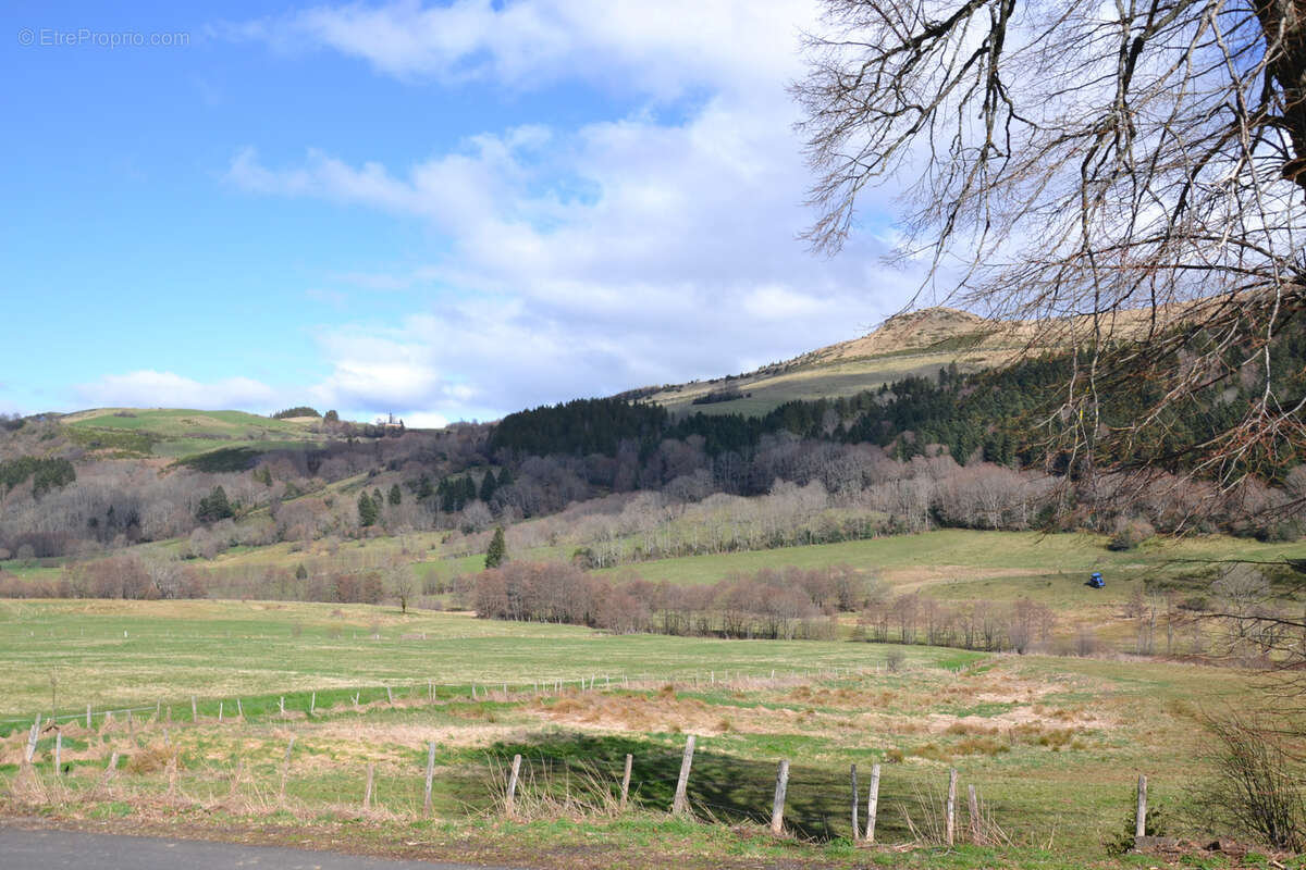 Belle maison composée de 2 gîtes dans un magnifique environnement proche Sancy - photo 7