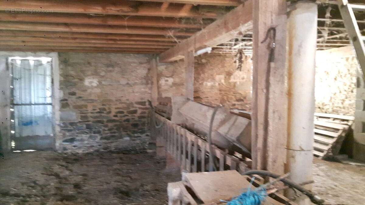 Maison et granges, et maison à rénover, avec environ  3,8 hectares de terrain - photo 17