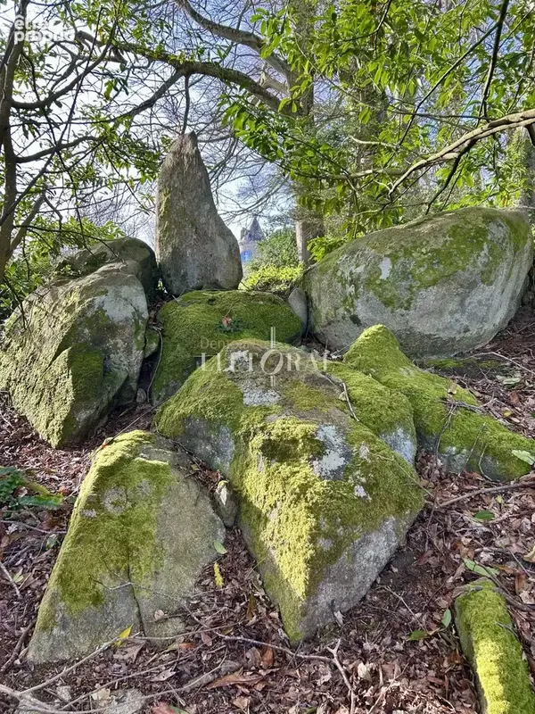 Grande demeure du XIXe sur 6 ha - Vue Panoramique Mer - photo 28