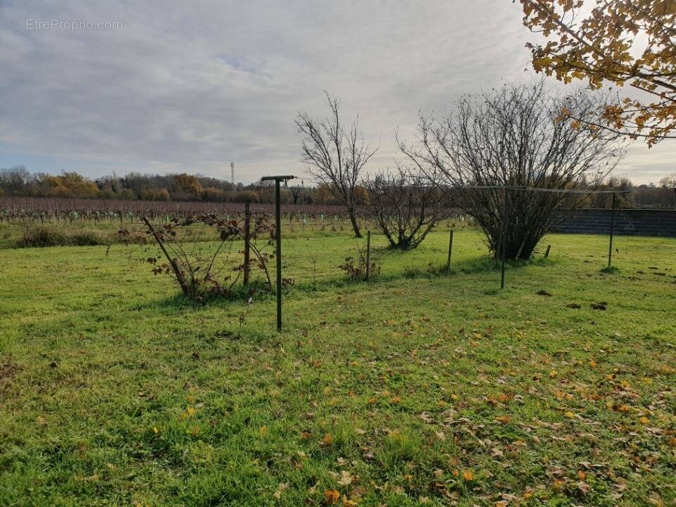 Terrain à SAINT-LOUBES