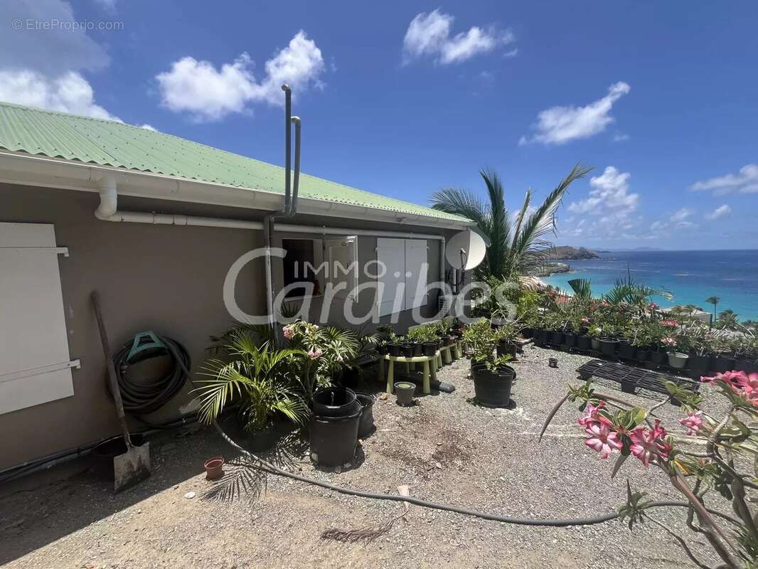 Maison à CAPESTERRE-BELLE-EAU