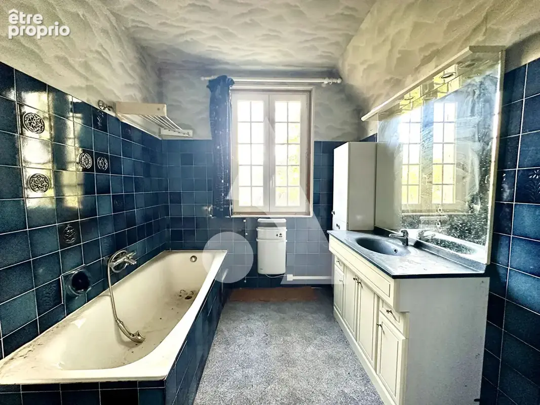 Maison avec dépendances 300 m² ? Axe Évreux / Conches - photo 13