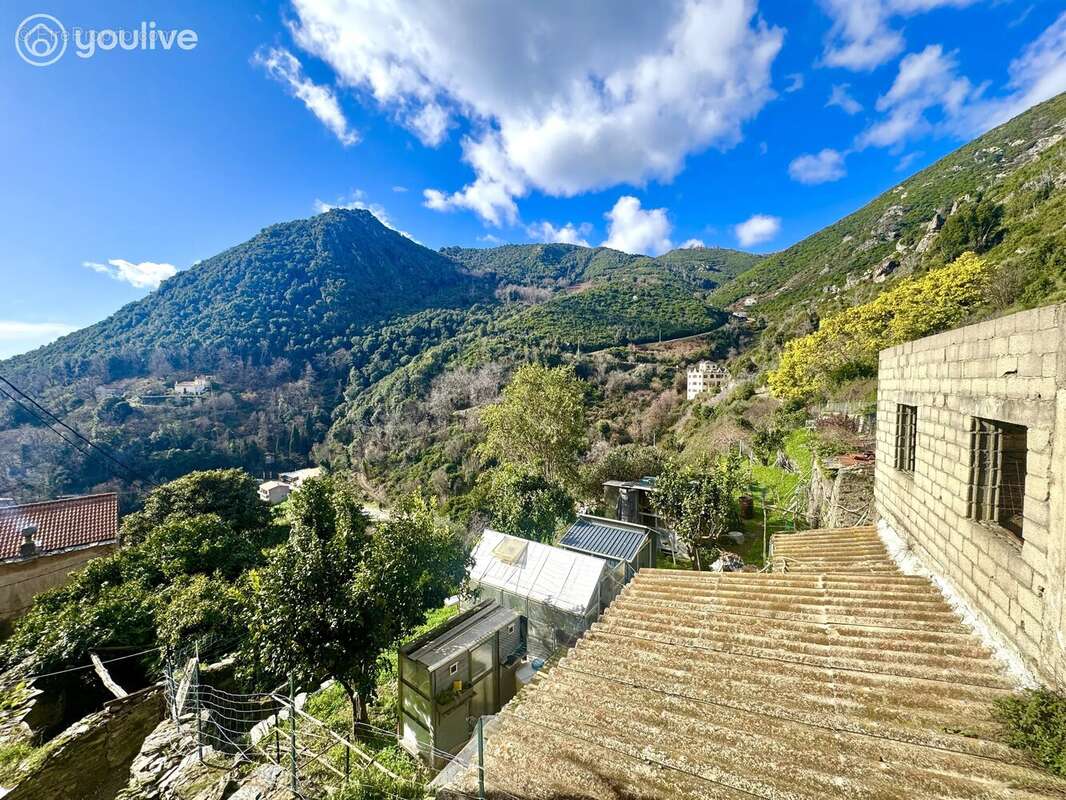Appartement à CERVIONE