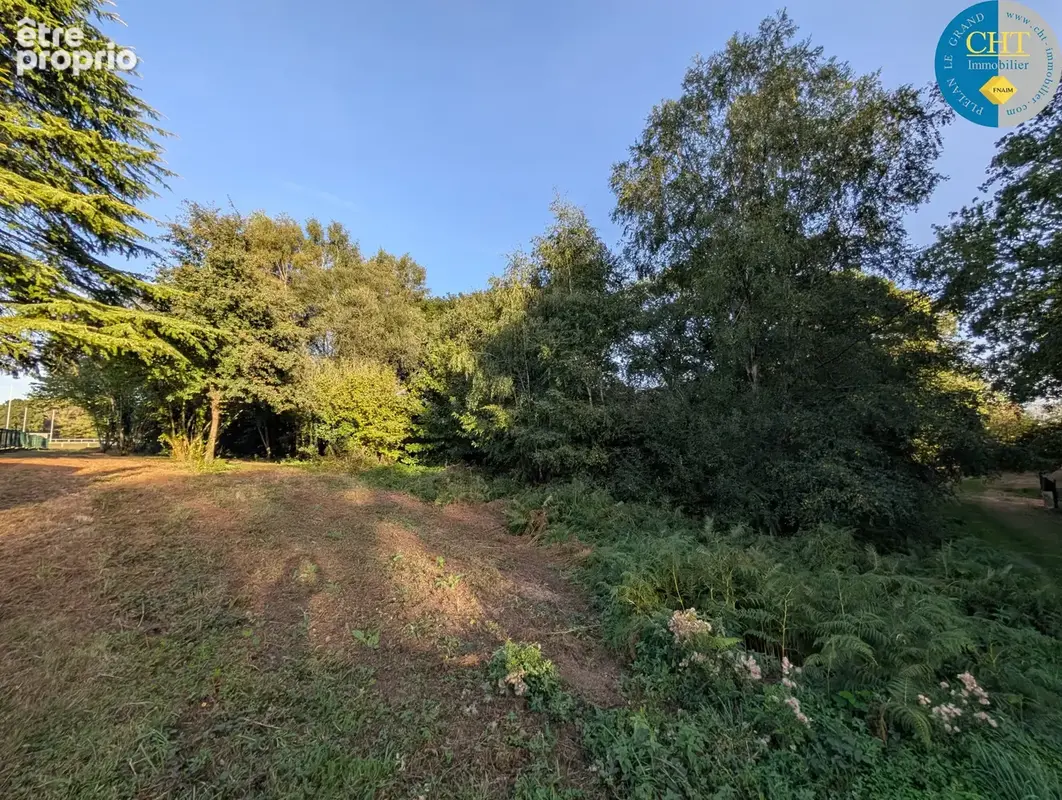 Magnifique terrain boisé de 9 420 m2 à guer - bellevue (56380) avec cht immobilier - photo 10