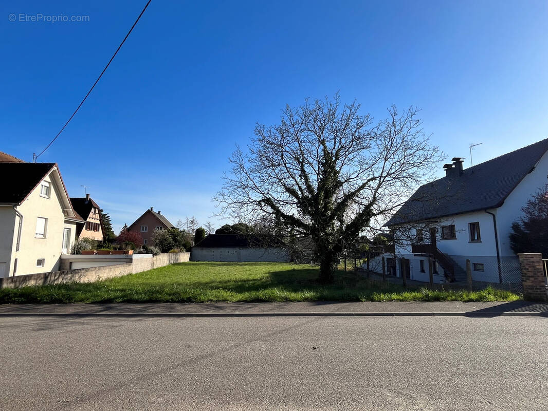 Terrain à WITTISHEIM