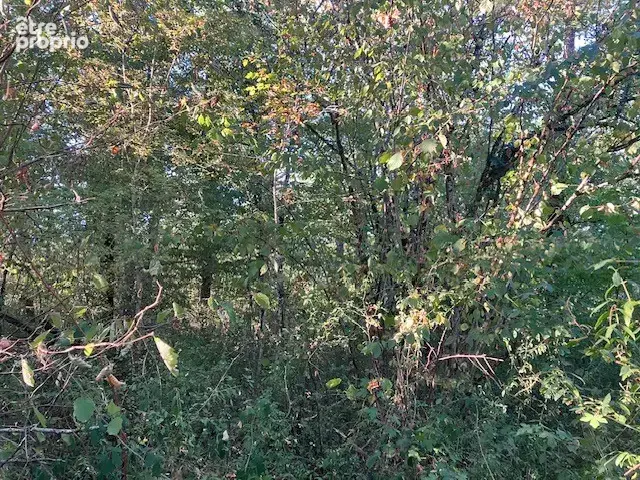 Terrain constructible à vendre avec forêt de chêne à St Martial de Nabirat - photo 3