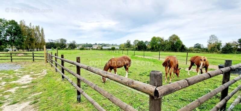 Maison à ECRAMMEVILLE