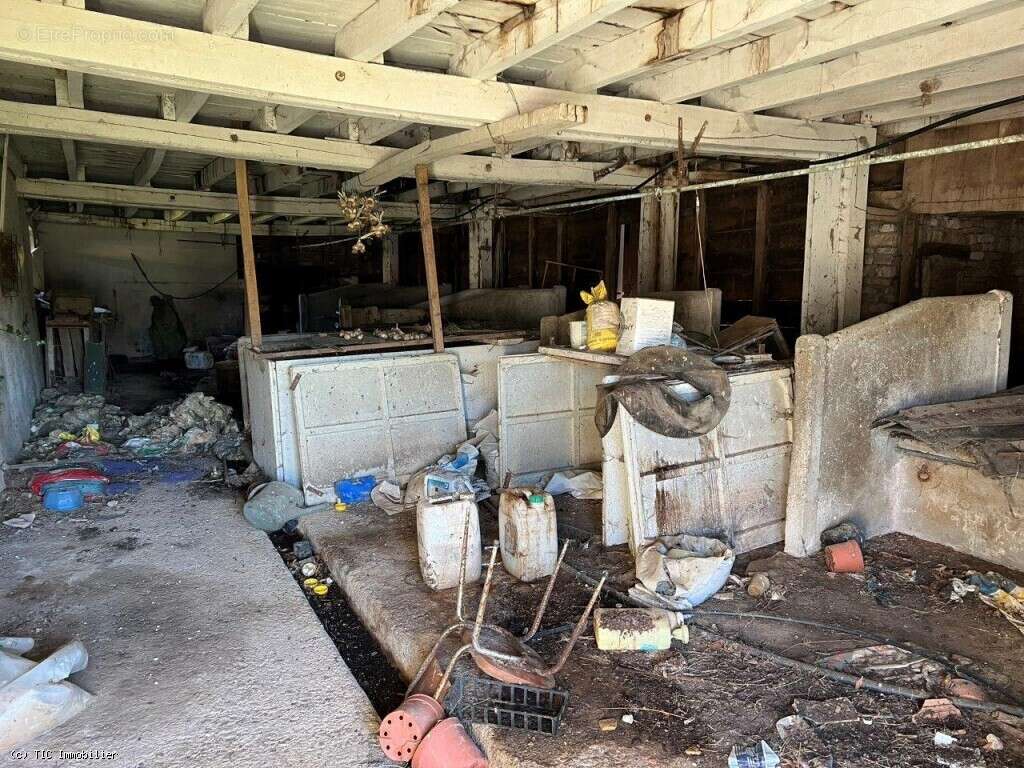 Maison à VILLEFAGNAN