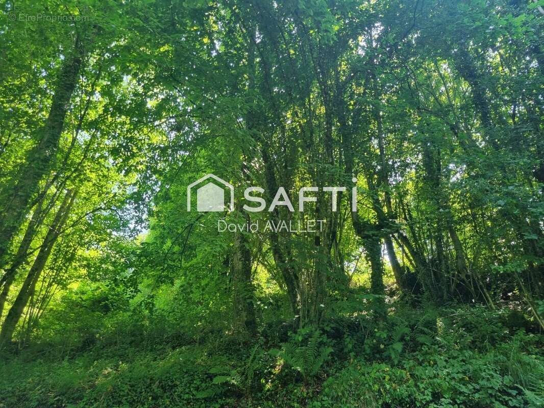 Terrain 956 m² à Seix  - photo 6
