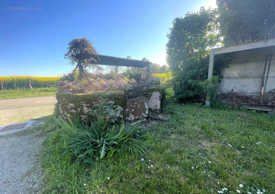 Ligné - Maison familiale dans un bel environnement - photo 4