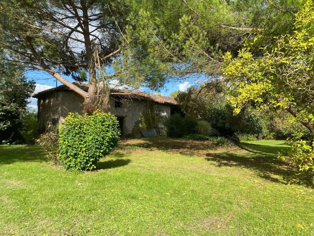 Photo 9 - Maison à SAINT-NICOLAS-DE-LA-GRAVE