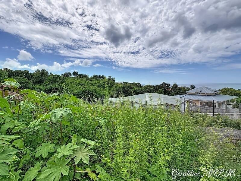Terrain à VIEUX-HABITANTS