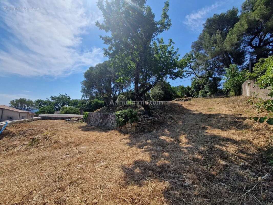 Vente Terrain Draguignan(83300) 163 000ï¿œ - photo 5