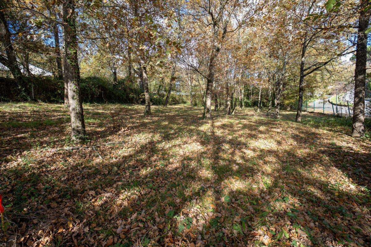 Maison à ROUFFIAC-TOLOSAN