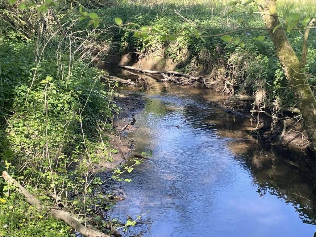 Terrain à AUTHON-DU-PERCHE