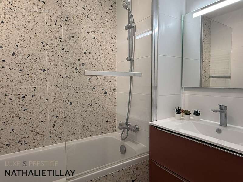 Appartement à vendre 3 pièces CHEMIN DE HALAGE ORLEANS limite SAINT JEAN DE BRAYE , bord de Loire - photo 13