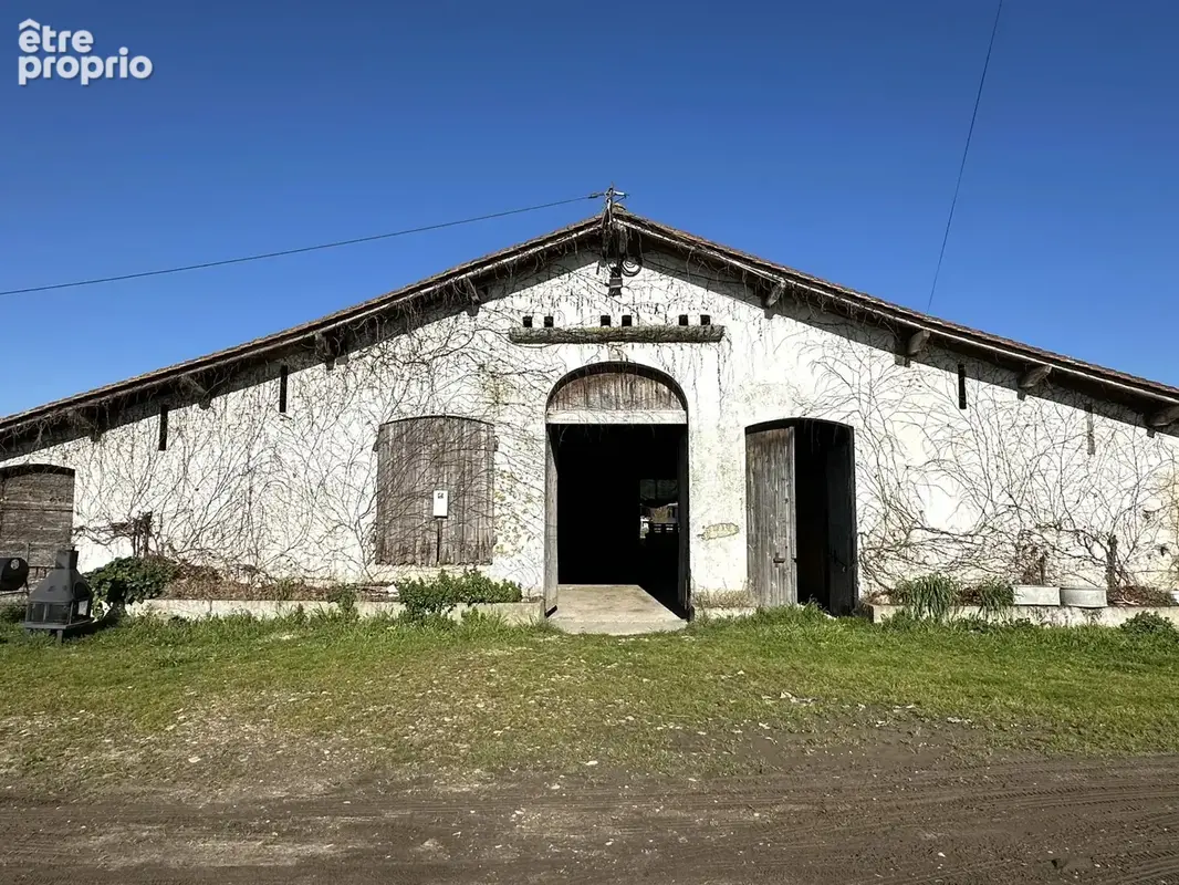 Superbe propriété équestre avec Maison de Maître, deux annexes, trois écuries, au milieu de 25ha de terres, entre Bordeaux et Be - photo 8
