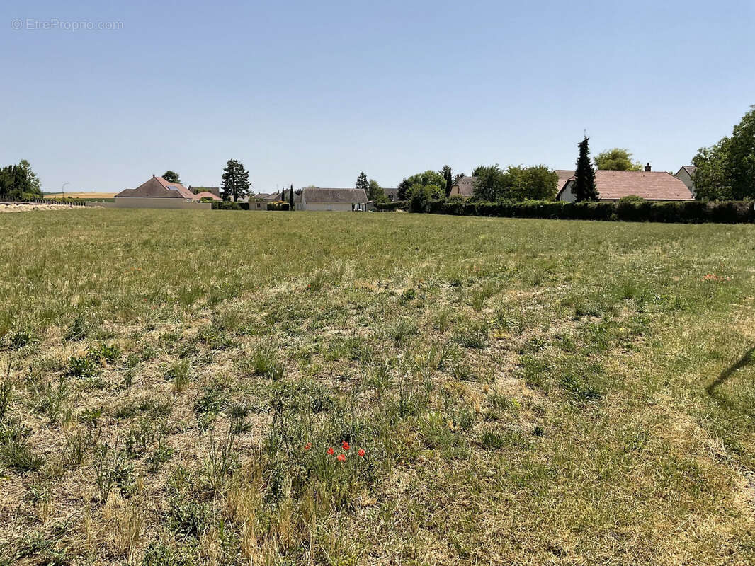 Terrain 9517 m² à Torvilliers  - photo 5