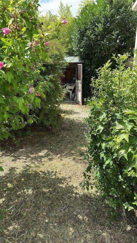 Maison à MAISONS-ALFORT