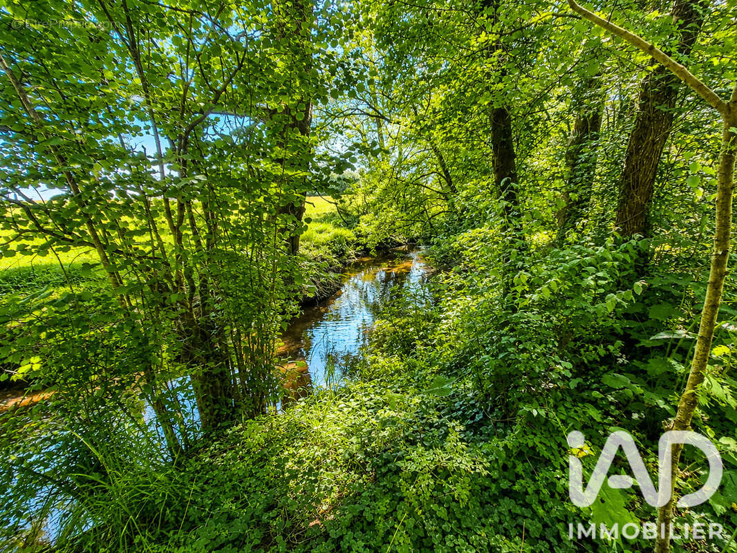 Photo 2 - Terrain à BLAIN