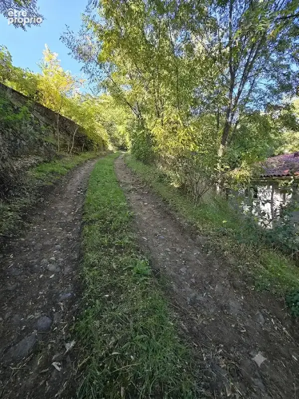 La campagne à la ville - photo 10
