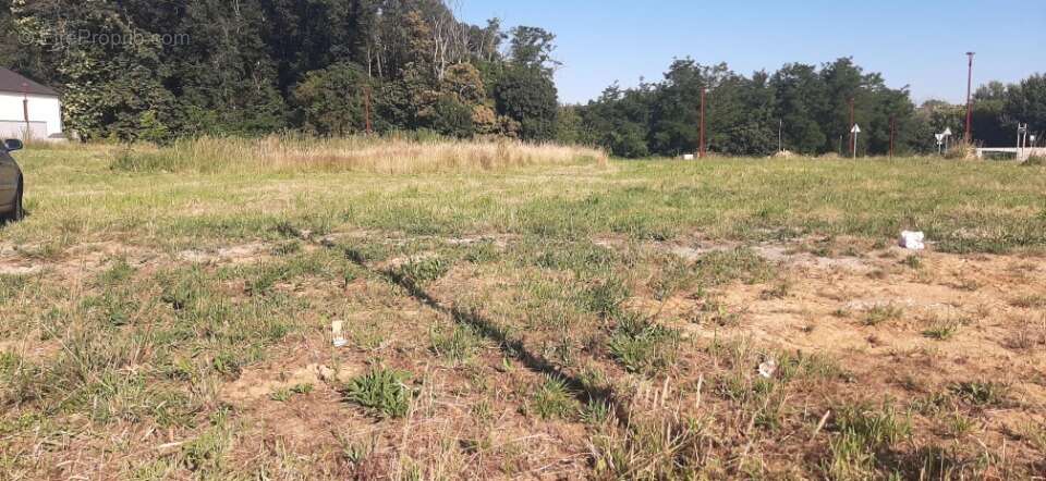 Terrain 311 m² à Sarge-Les-Le-Mans  - photo 3
