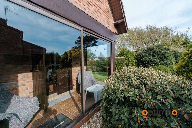 Maison à AMBLETEUSE