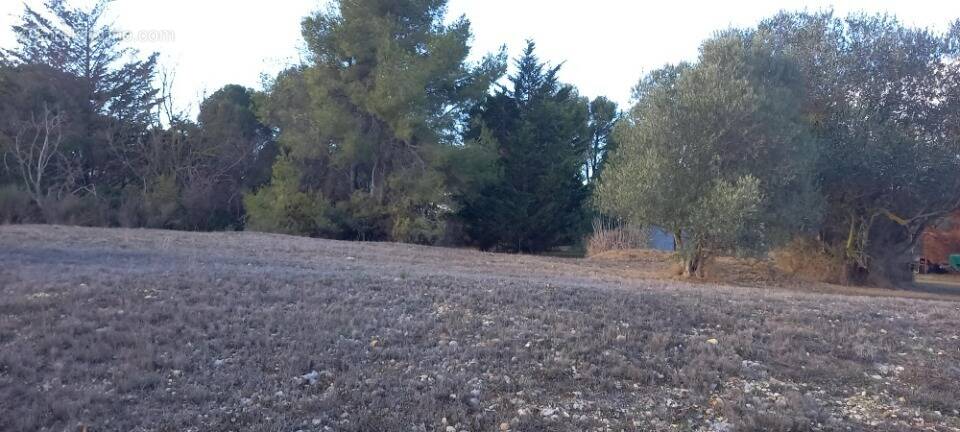 Terrain à MOUSSAN