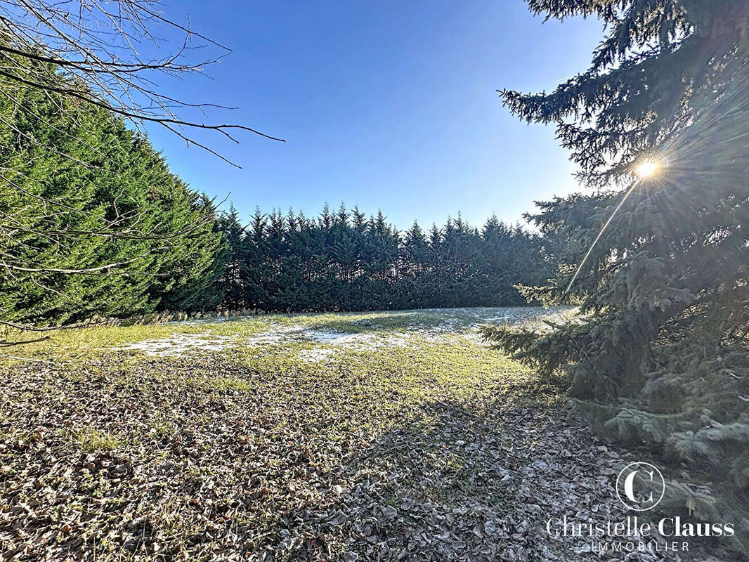 Maison à MARLENHEIM