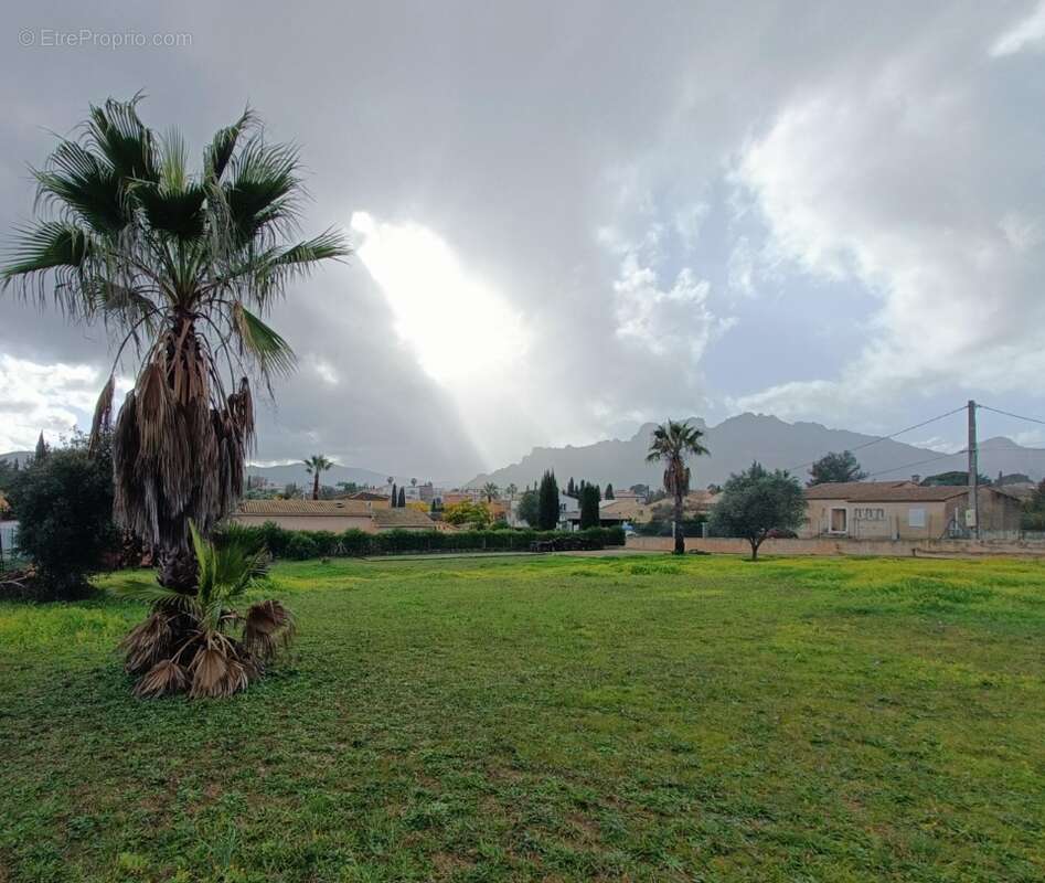 Terrain à ROQUEBRUNE-SUR-ARGENS