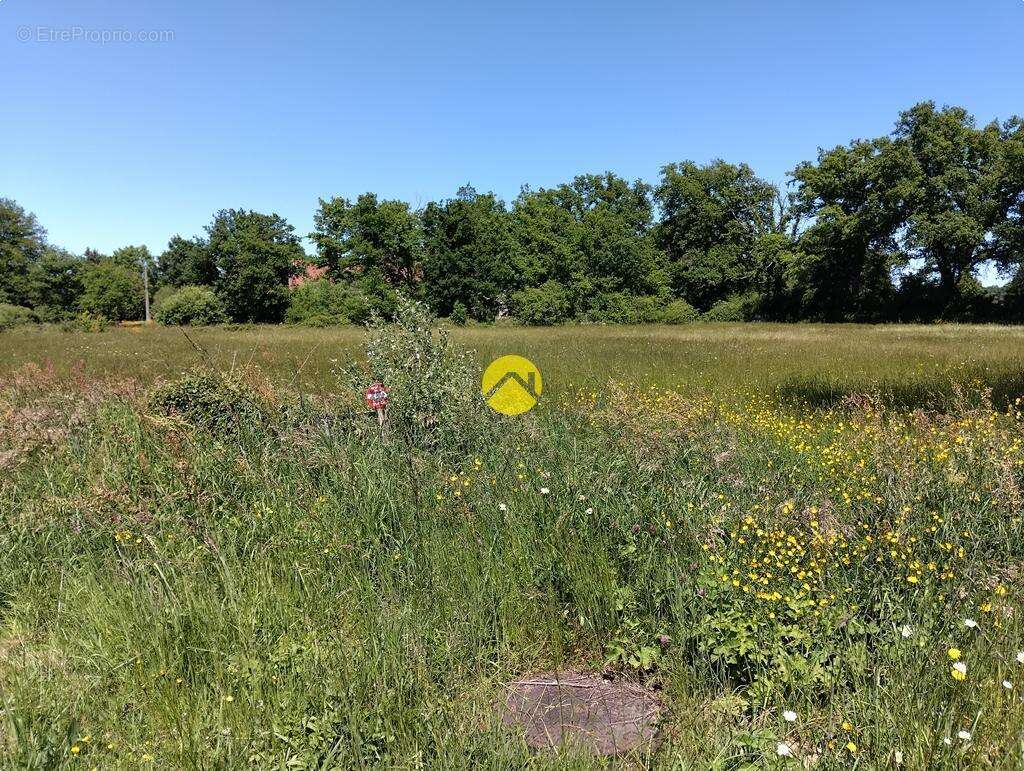 Terrain à LURCY-LEVIS