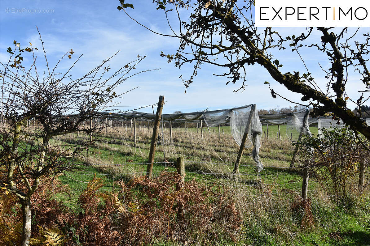 Maison à SAINTE-CHRISTINE