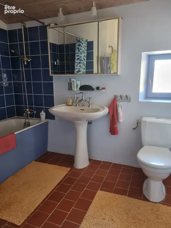 Maison avec Gîtes - photo 21
