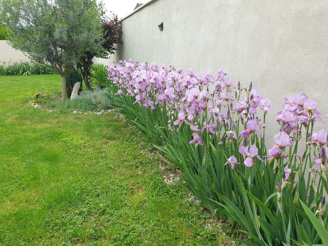 Maison à CHAVANOZ