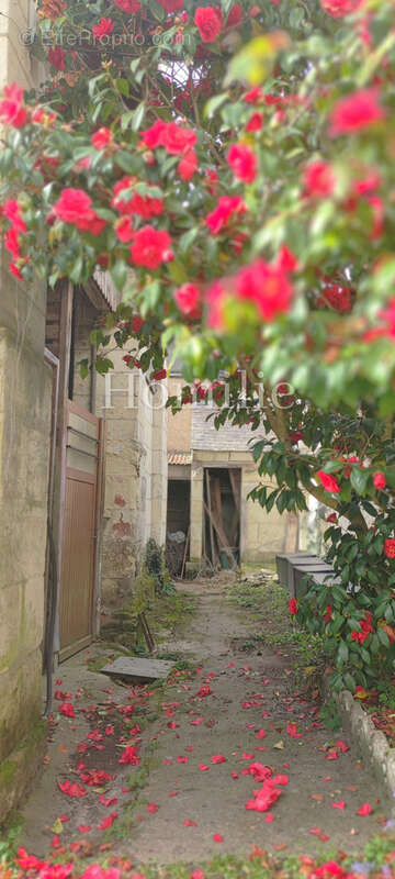 Maison à MONTRICHARD