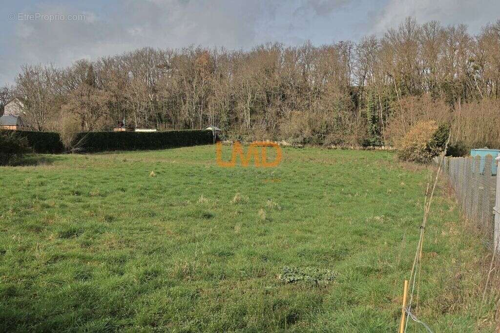 Terrain à bâtir de 4500 m² au Blanc (36300) – Prêt à construire - photo 2