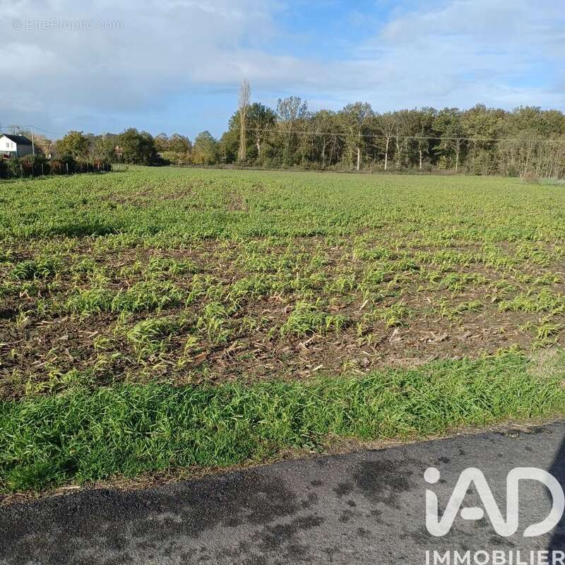 Photo 2 - Terrain à CHOUPPES