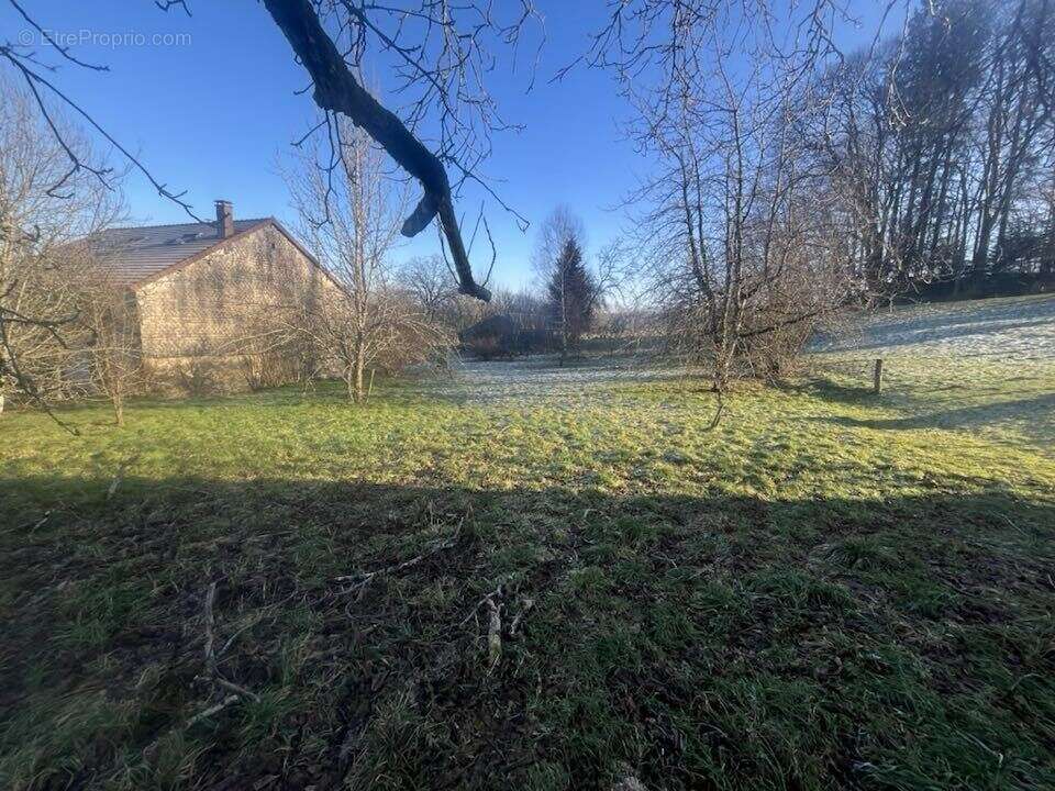 Maison à SAINT-BRESSON