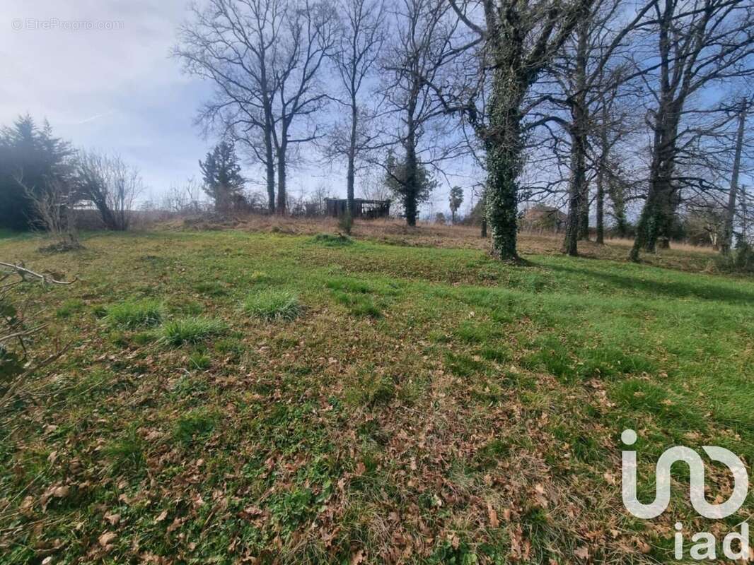 Photo 5 - Terrain à SAINT-CYR-LA-ROCHE