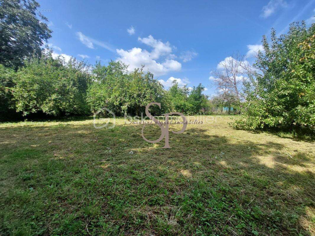 Grange, dépendances à fort potentiel, proche axes A6/A5 environ150 m² et jardin de loisirs - photo 15