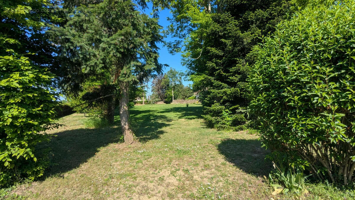 Terrain à SERMESSE