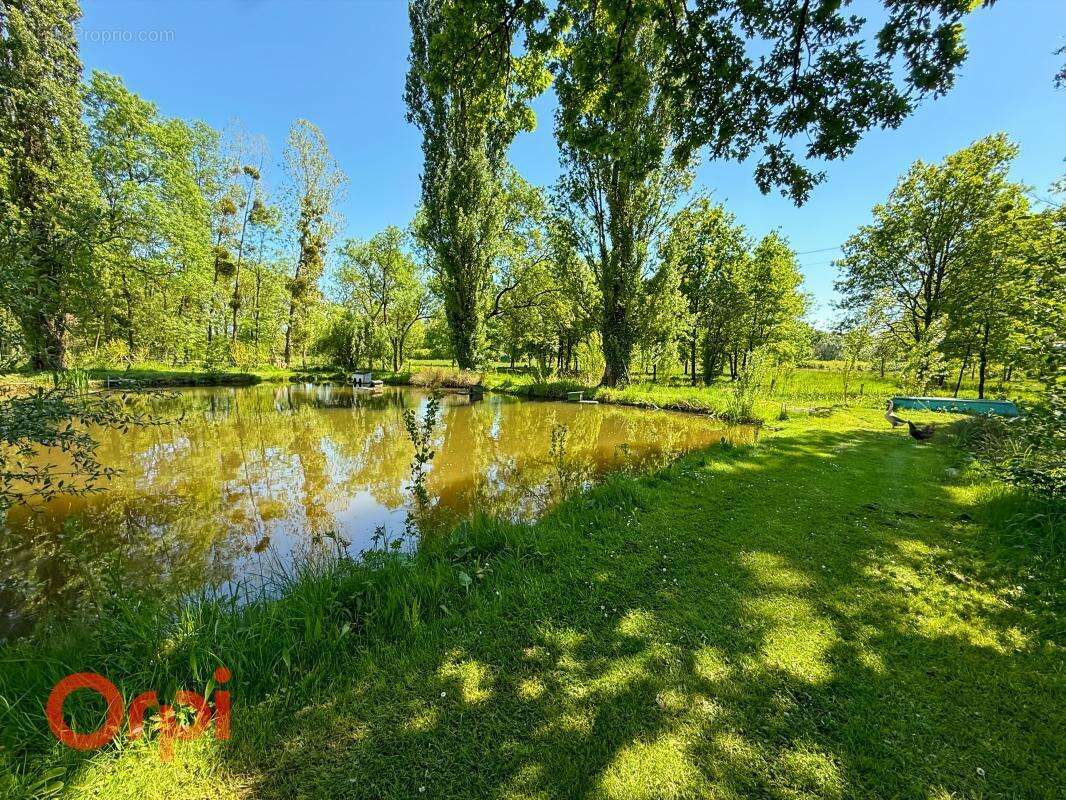 Maison à PRUNIERS-EN-SOLOGNE
