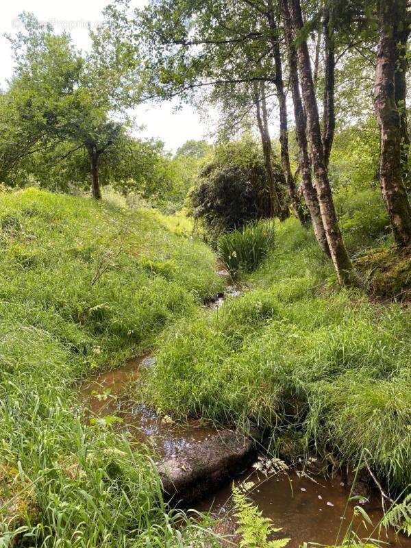 Domaine forestier&etangs - photo 6