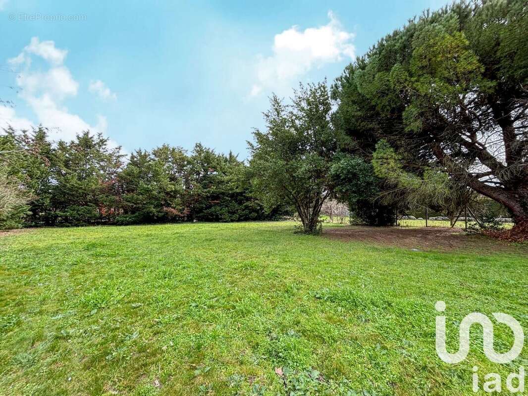 Photo 3 - Terrain à CARCASSONNE